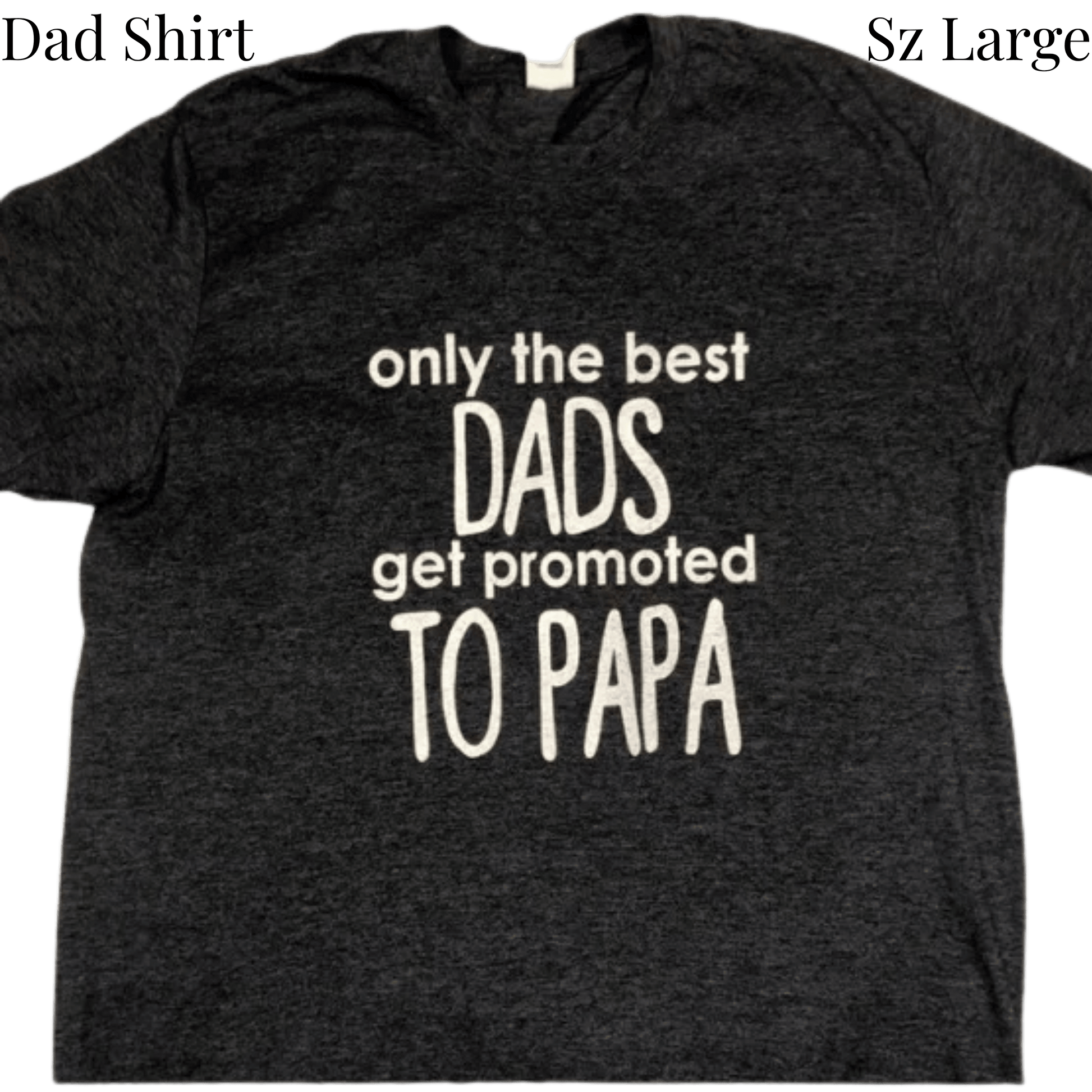 Black t-shirt with white text 'only the best DADS get promoted TO PAPA' on a transparent background