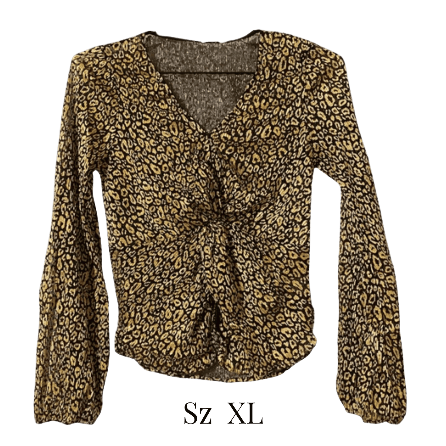 Leopard print blouse with a knot detail on a transparent background