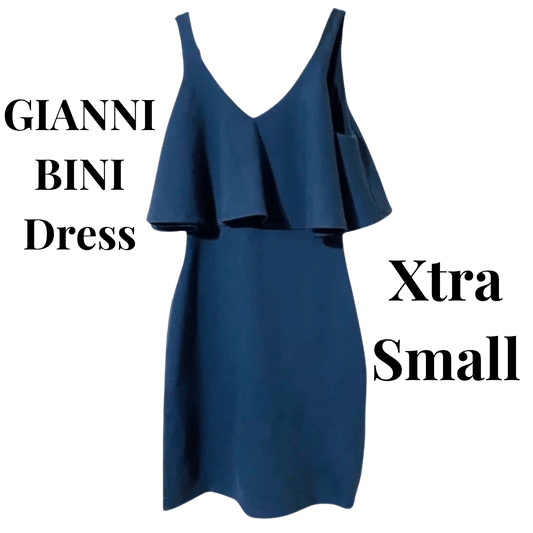 Blue dress with 'GIANNI BINI Dress' and 'Xtra Small' text on a green background