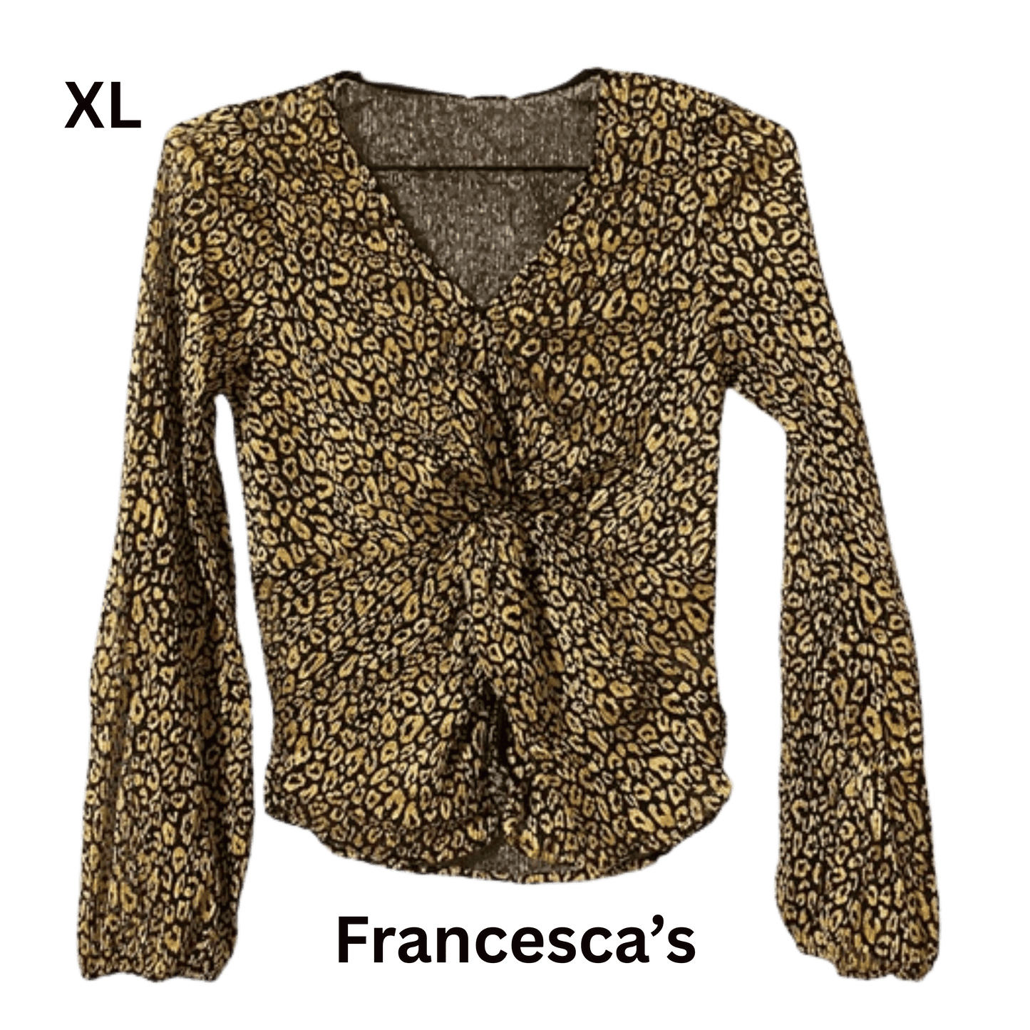 Leopard print blouse with a knot detail on a white background, labeled 'Francesca's'.