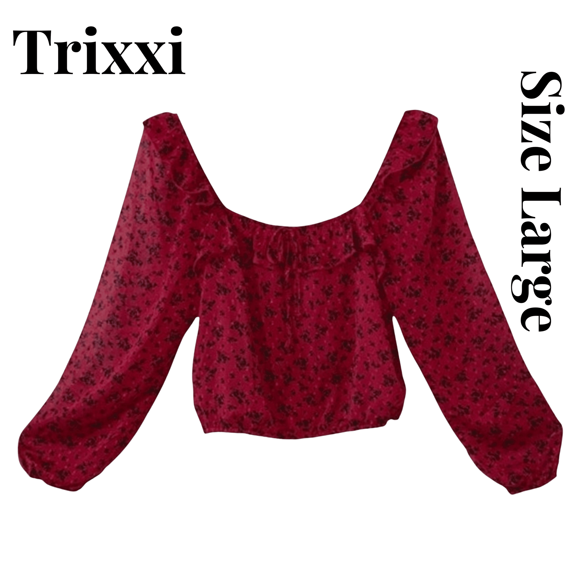 Trixxi Blouse Size Large