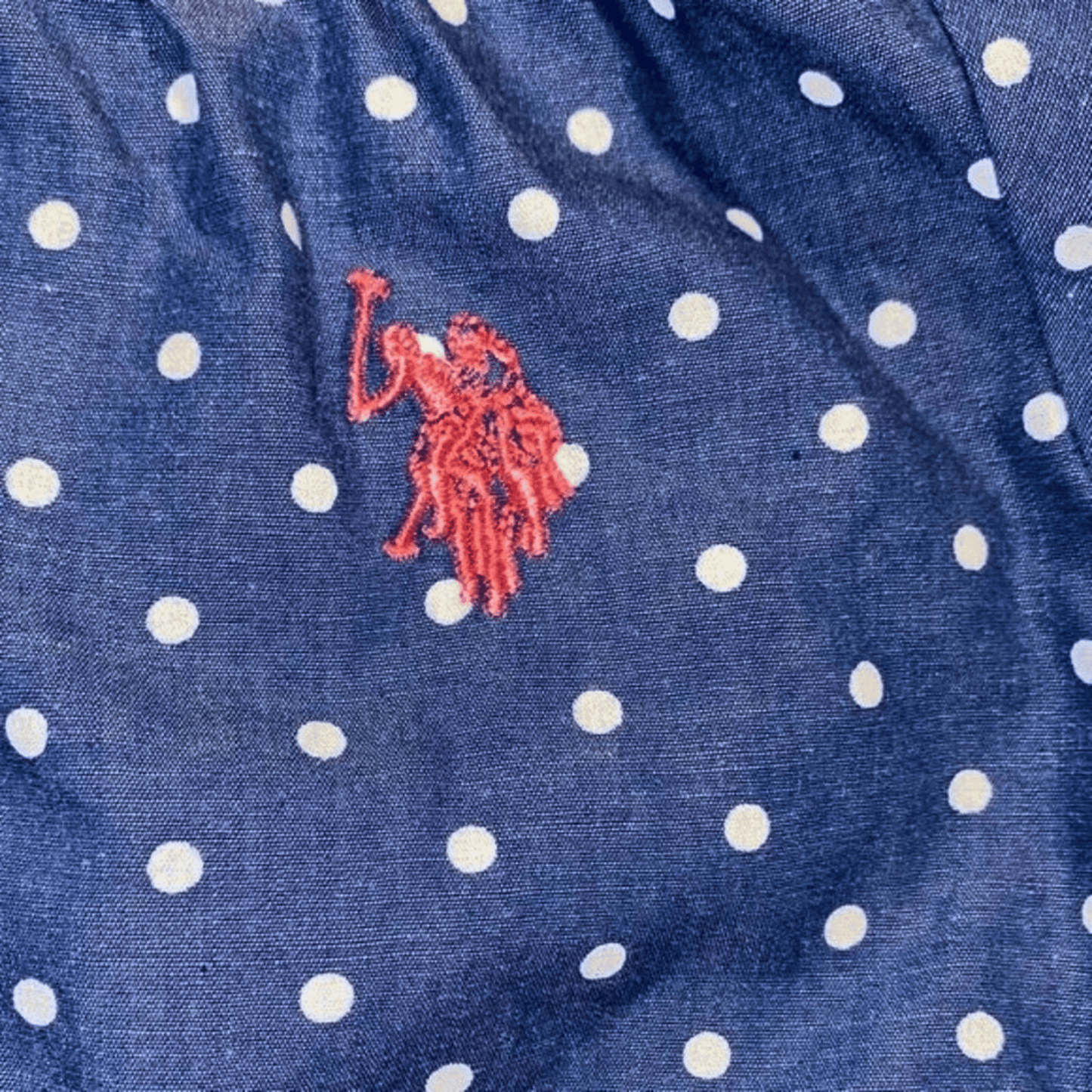 Close-up of a blue shirt with white polka dots and a red logo.