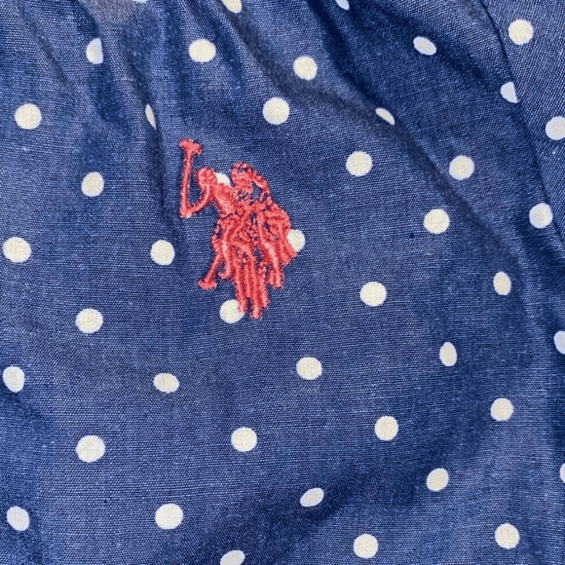 Close-up of a blue shirt with white polka dots and a red logo.