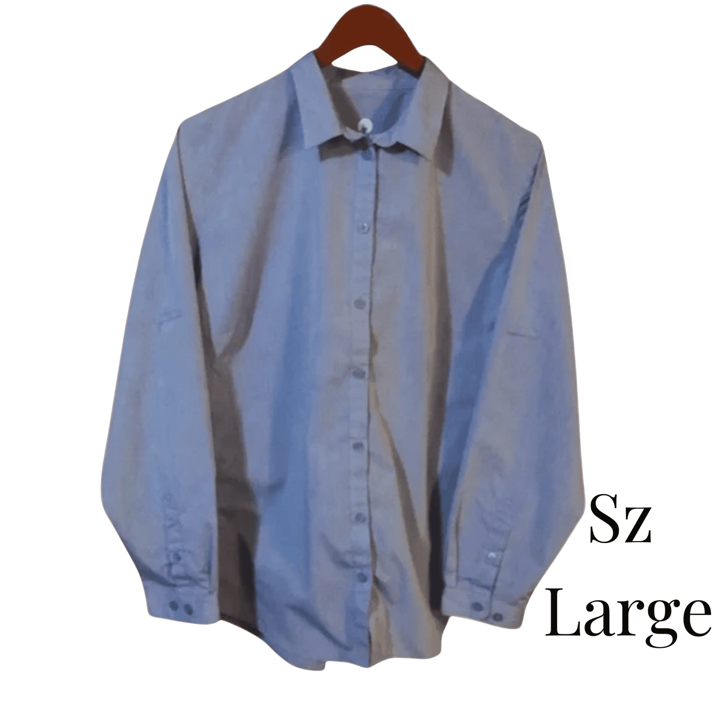 Light blue shirt on a hanger with 'Sz Large' text